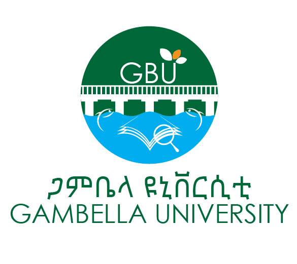 Gambella University